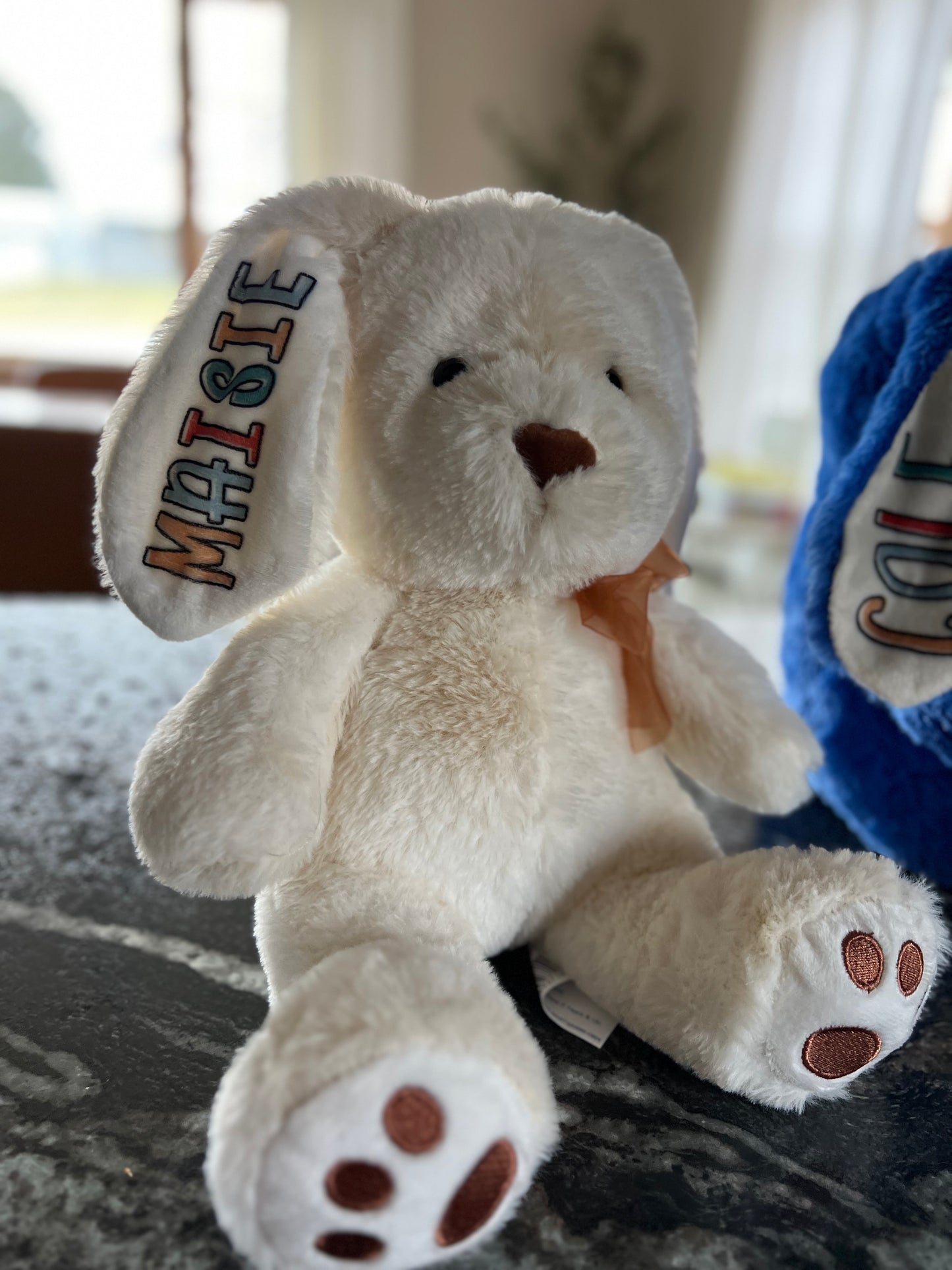 Personalized Easter Bunny π°