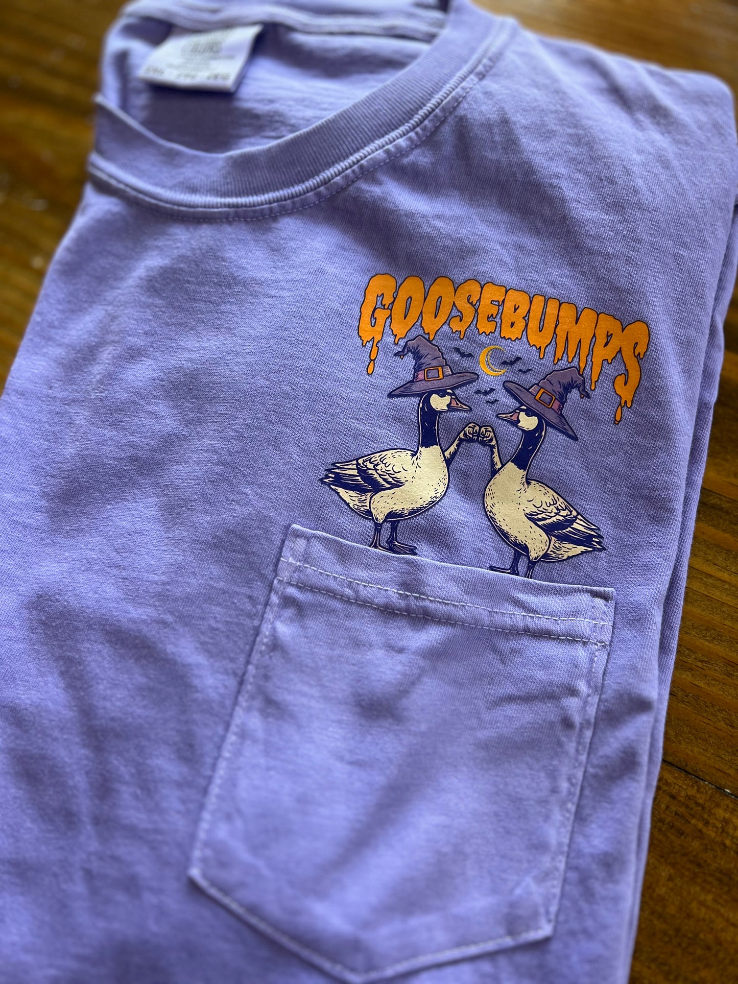 Goose Bumps π§ββοΈ
