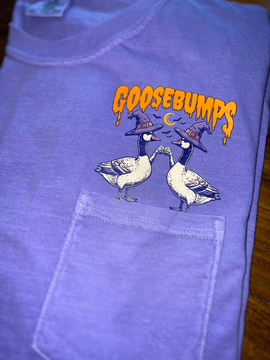 Goose Bumps 🧙‍♀️