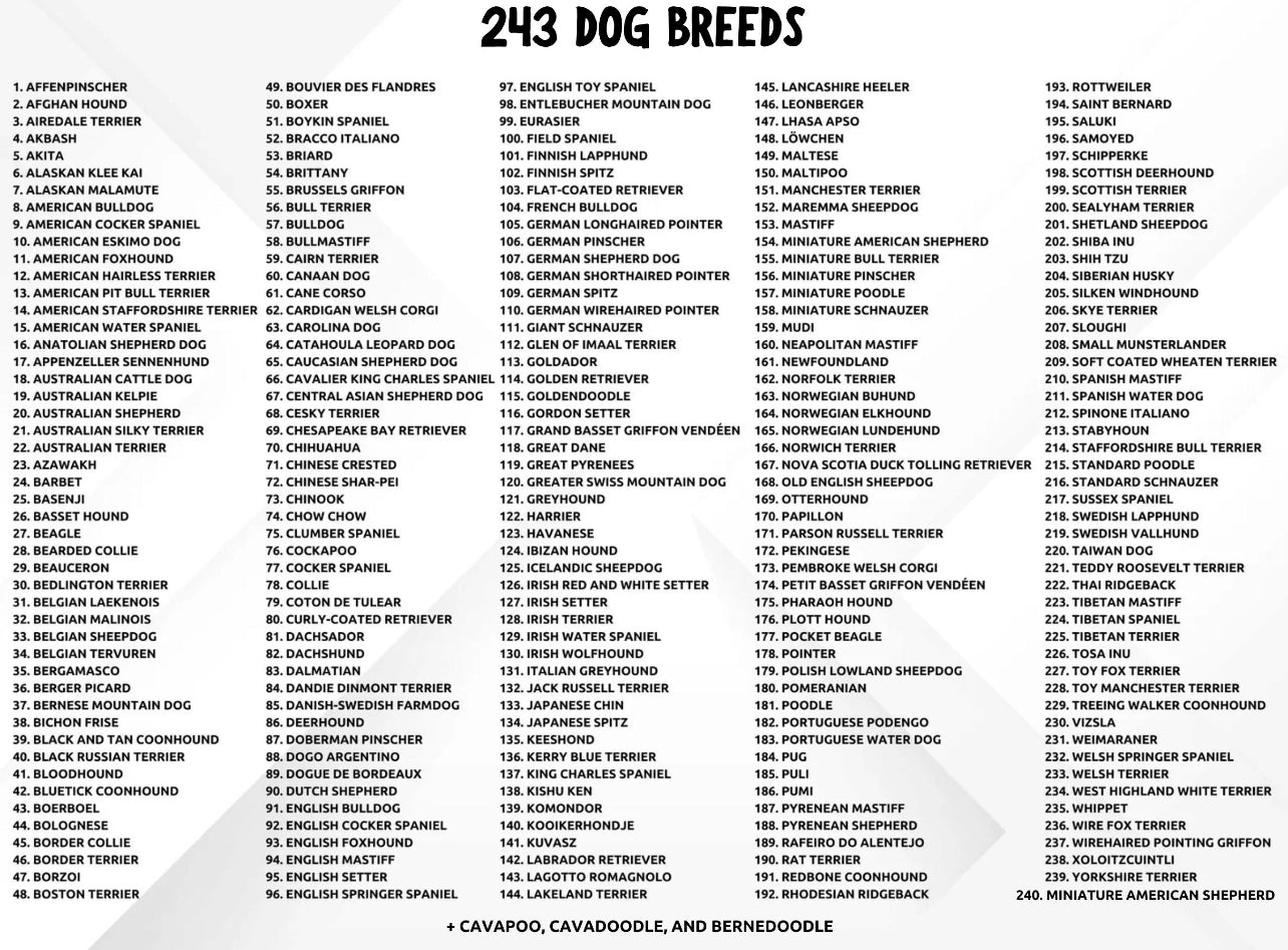 Personalized Holiday Pup