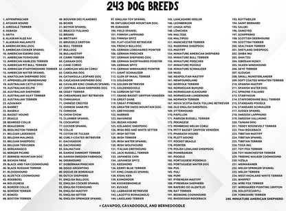 Personalized Holiday Pup