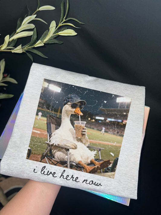 I Live Here Now 🪿