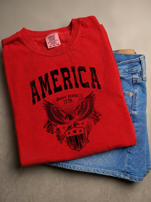 AMERICA 🦅