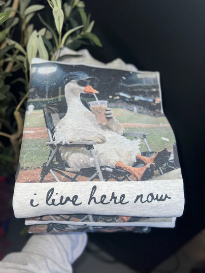 I Live Here Now 🦆 BASEBALL/SOFTBALL